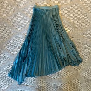 Brand new with tags Zara Pleated long skirt